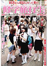 Poster: SDMS-868 School Trip Student