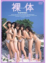 SFLB-031 nudity marvelous