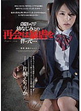 SHKD-490 Innocent Re-Pu Reunion with a playhood friend is accompanied by violence … Eririka Katagiri