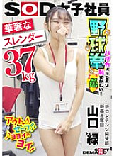 SHYN-196 A delicate and slender (37kg) SOD female employee. A stripping camp that's more embarrassing than being naked. A BOX stripping game. A new content development department graduate, first year. Midori Yamaguchi. 330 3