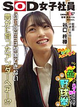 SHYN-214 Natural pubic hair discovered!? It's more embarrassing than being naked! Strip camp box rock-paper-scissors General Affairs Department 1st year mid-career employee Shuuka Taniguchi