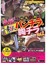 SINO-311 Voyeur! Street Corner Tracking Amateur Panty Shots, Breast Shots Vol2