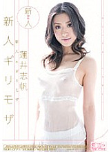 SOE-077 Rookie x Risky Mosaic Rookie Risky Mosaic Shiho Hasui