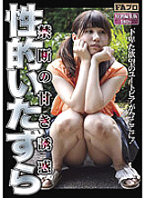 SQIS-086 Forbidden Sweet Temptation Sexual Mischief