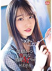 SSIS-839 Obedient And Sexual Beautiful M Pet Kawakita Ayaka