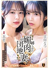 [UNCENSORED-LEAK] SSPD-176 A dream first co-starring with a best friend & Hinata Natsu's bondage debut. A bound and seductive apartment wife