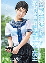 Poster: STAR-700 Iori Furukawa Dripping Rain Sweat Tears Wet Seethrough School Girls Who Are Soaked In Estrus And Crazy For Pleasure Poster: STAR-700 Iori Furukawa Dripping Rain Sweat Tears Wet Seethrough School Girls Who Are Soaked In Estrus And Crazy For Pleasure