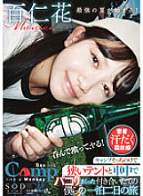 STARS-774 Camping Ignoring the cramped tent and the car, our one-night two-day trip Hyakuninka