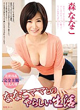 Poster: VAGU-063 Naughty Life With Nanako Mama Nanako Mori