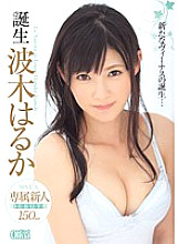 XVSR-094 Birth Haruka Namiki