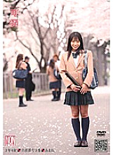 YSN-083 "Pretty" 3rd grade Class 4 Attendance number 3 Amane
