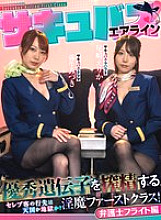 [UNCENSORED-LEAK] ZOZO-243 Succubus Airlines: First class for the succubus who milks superior genes! Will the celebrity passengers go to heaven or hell? Lawyer edition