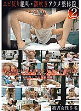 ZRO-026 Shrimp Warp Screaming Squirting Orgasm Chiropractic Clinic 2