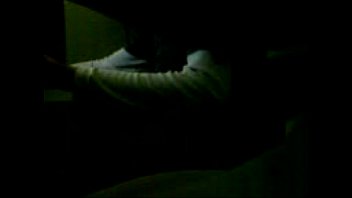 ⁣Gay, Lan, House, Garoto, Exitado - Gay - 2025 - Sexy - Scene - Video 5919743