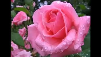 Video 20150404205319 by videoshow