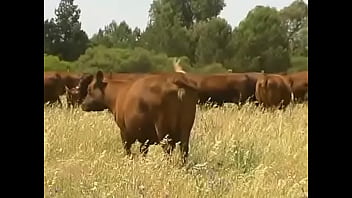 ⁣Youtube - Organic Farming - Dealing With Worms In Livestock Organically