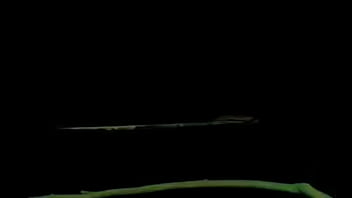 ⁣VID-20150430-WA0012