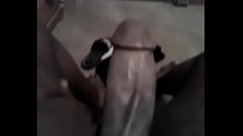⁣Black, Solo, Dick, Fat, Jerking, Off, Bbw, Jack, Fanny, Soloboy - Exotic - 2025 - Intense - Experien