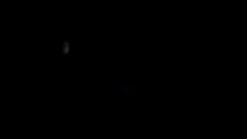 Unknown - 2025 - Wild - Show - Video 6524963