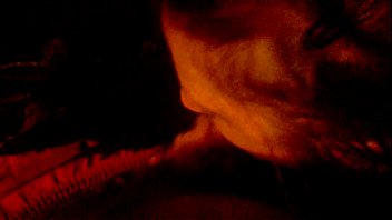 ⁣WP 20150901 03 20 56 Pro