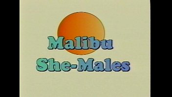 ⁣Metro - Malibu Sme Males - Full Movie