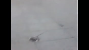 ⁣Minha Irmã Se Masturbando No Banheiro Kkk Zoei Muito Ela