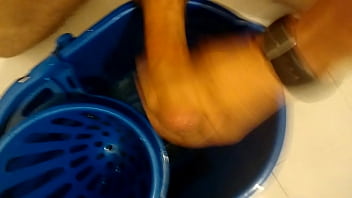 ⁣Gran Corrida De Polla Pequeña _dog Cum_