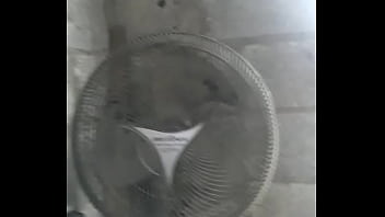 ⁣Da, Bom, Muito, Esta, Trabalho, Ventilador - Unknown - 2025 - Wild - Performance - Video 5519941