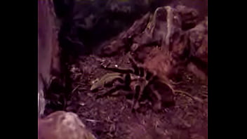 Big, B - Unknown - 2025 - Wild - Session - Video 5605423