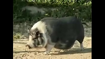 ⁣White White Trash