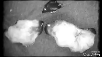 Gozadinha Do Lipy Pra Vcs