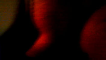 Midnight_chante
