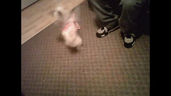 2012 – Unknown – 2025 – Incredible – Performance – Video 6466125