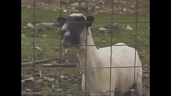 Anal, Accidente – Anal – 2025 – Steamy – Scene – Video 5017105