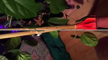 Gully Wompus Sex Music N Audio Tech 4 Hire