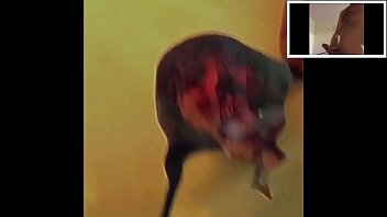 Video Cum Pornstar Gully Wompus Xxx Sex Buddy