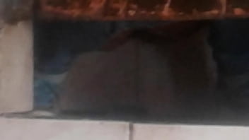 Chola Orinando Jauja Huancayo