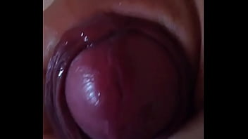 Pauzao Grosso E Gay Gozando Litros De Porra