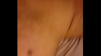 Urso Mach_o Veado Dando No Hotel Para Mach_o