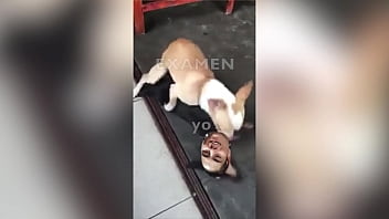 Papi, Pepe, Caca – Unknown – 2025 – Amazing – Experience – Video 4978922