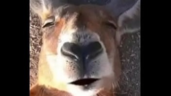 xvideos.com c9f0cab45ecc8cce5322095aed657c12