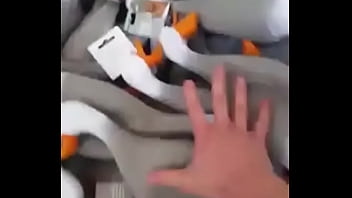 Weird, Noises, 1igreen – Unknown – 2025 – Passionate – Session – Video 4823589