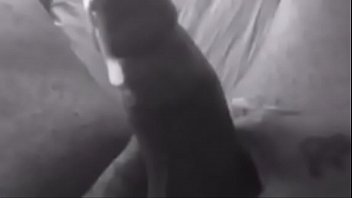 Play, Fun, Milan, Alexander, Bae, Gemini, Jazz, Yang, Yin, Honeycomb – Unknown – 2025 – Intense – Session – Video 4723506