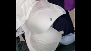 Mexican, Vera, Undies – Latina – 2025 – Passionate – Scene – Video 4780668