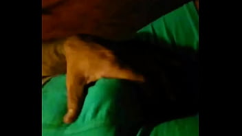 SkypeVideo 20170424 002431