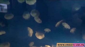 Dee Dee Lynn Takes A Creampie After Your Pov Virtual Date With Hardcore Sex – Www.sweetcams.tk