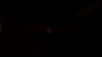 gấu d_m thổi kèn