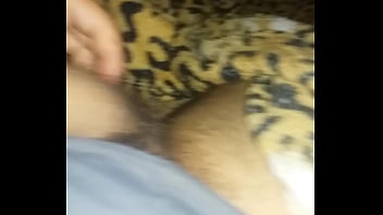 Solo, Brincando, Com, Pau, Soloboy – Solo_-_masturbation – 2025 – Amazing – Experience – Video 4321240