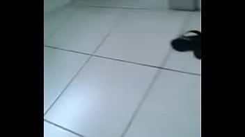 Instagram @mariana Cult – tranny, shemale, gay, mariana, cult, trans-dotada – Video 4371320