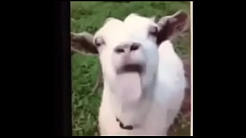 Sex, Shemale, Le, Ye, Kiska – Shemale – 2025 – Sexy – Performance – Video 4328605